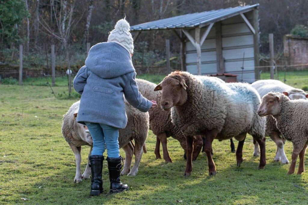 Maison Au Milieu Des Bois Et Des Animaux Jouy-le-Potier ภายนอก รูปภาพ