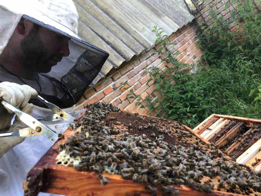 Maison Au Milieu Des Bois Et Des Animaux Jouy-le-Potier ภายนอก รูปภาพ